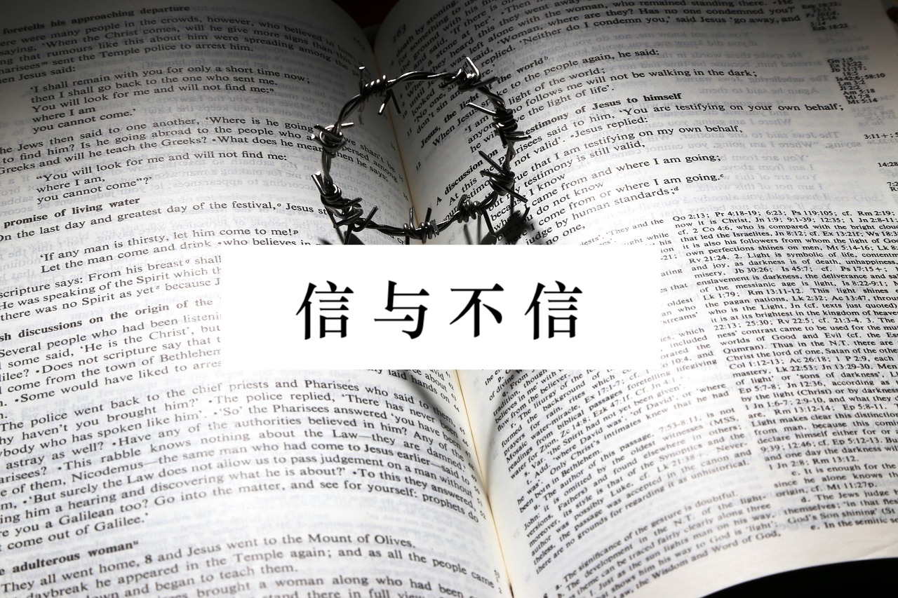 信与不信能同负婚姻的轭吗(8)